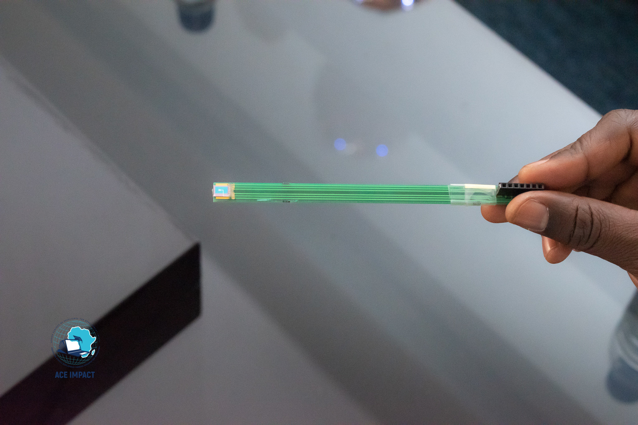 Nano Diabetes Chip